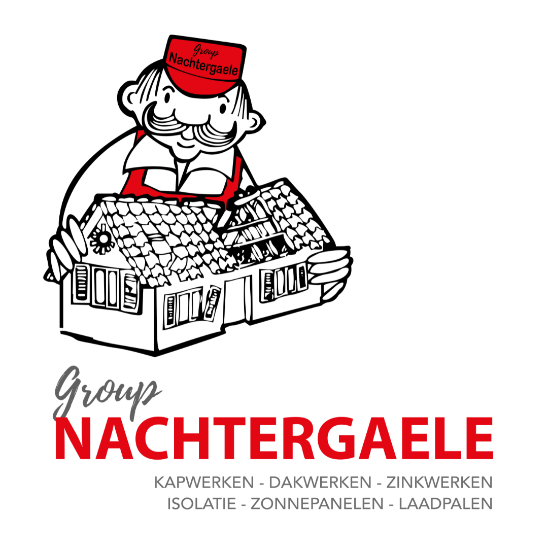 Logo nachtergaele version NL